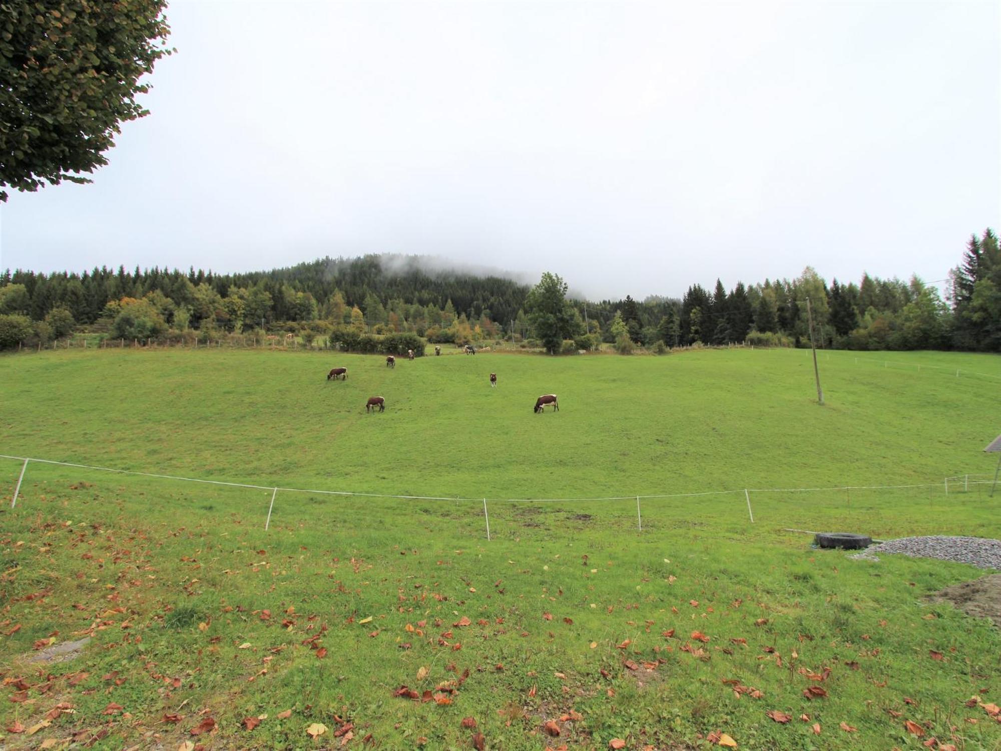 Characterful Old Farmhouse With 4 Apartments In Fresach Carinthia With Garden Exterior foto
